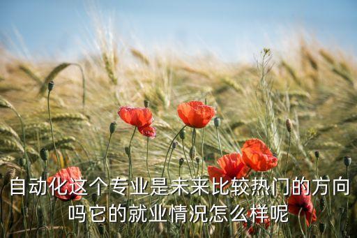 自動化這個專業(yè)是未來比較熱門的方向嗎它的就業(yè)情況怎么樣呢