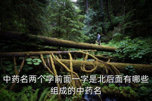中藥名兩個字前面一字是北后面有哪些組成的中藥名