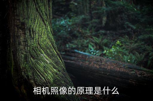 相機(jī)照像的原理是什么