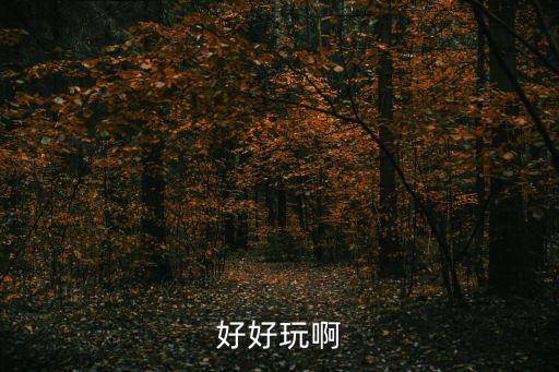 胡杉杉，好好玩啊