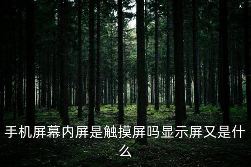 手機(jī)顯示屏，目前手機(jī)的顯示屏一般都是什么顯示器