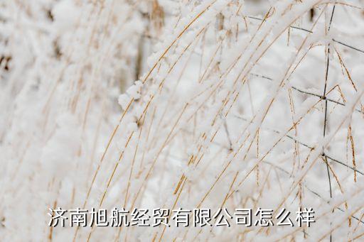 雅江自動(dòng)化有限公司,工業(yè)自動(dòng)化公司排名靠前哪幾家?