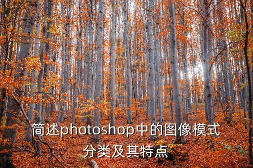 圖像分類,多標(biāo)簽圖像分類是計(jì)算機(jī)視覺(jué)領(lǐng)域重要方向