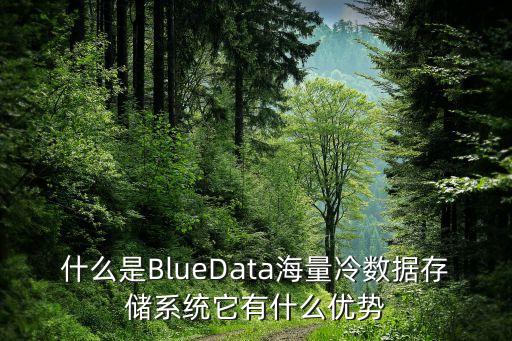 什么是BlueData海量冷數(shù)據(jù)存儲(chǔ)系統(tǒng)它有什么優(yōu)勢(shì)