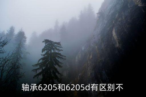 軸承6205和6205d有區(qū)別不