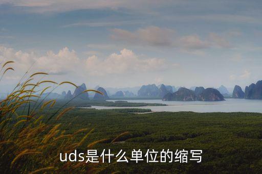 uds是什么單位的縮寫