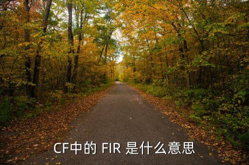 fir，F(xiàn)IR是什么