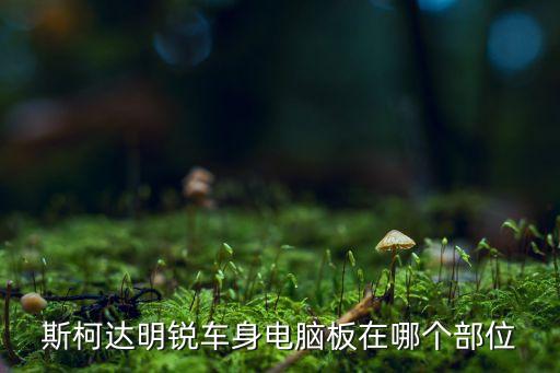 汽車電腦板，汽車電腦板的定義