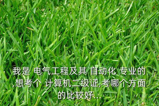 我是 電氣工程及其 自動化 專業(yè)的,想考個 計算機二級證,考哪個方面的比較好...