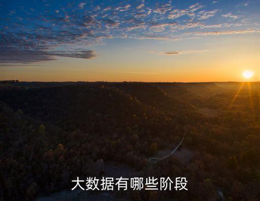 大數(shù)據(jù) 發(fā)展趨勢,大數(shù)據(jù)技術(shù)發(fā)展經(jīng)歷哪些階段?