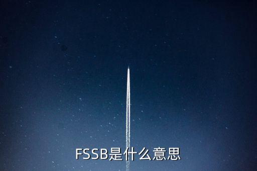 FSSB是什么意思
