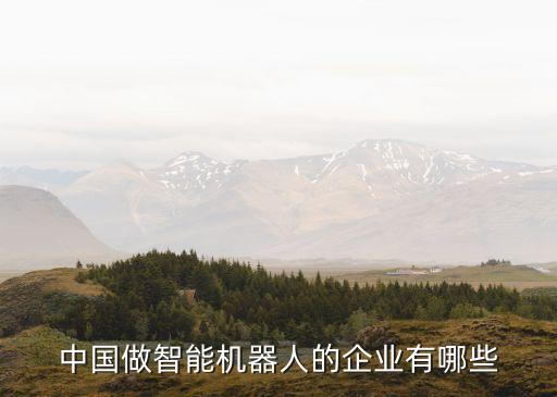 中國做智能機(jī)器人的企業(yè)有哪些