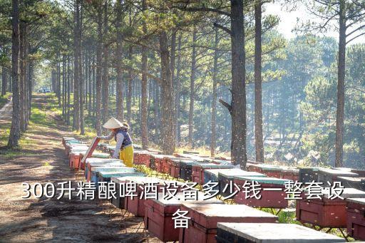 300升精釀啤酒設備多少錢一整套設備