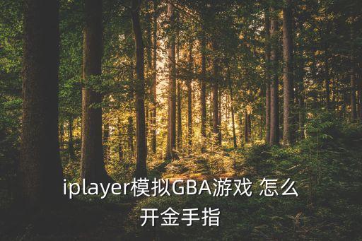 iplayer模擬GBA游戲 怎么開(kāi)金手指