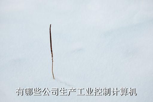 順盛機械自動化設備,哪些自動化設備可自動生產(chǎn)和裝配