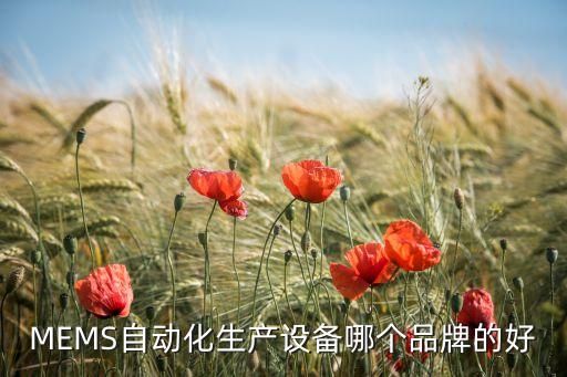 MEMS自動(dòng)化生產(chǎn)設(shè)備哪個(gè)品牌的好