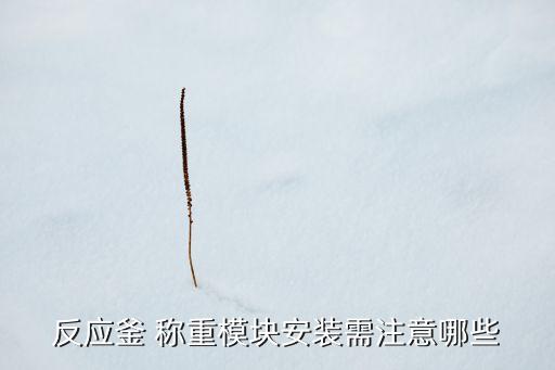 稱重模塊,反應(yīng)釜起重模塊安裝調(diào)試需注意什么?