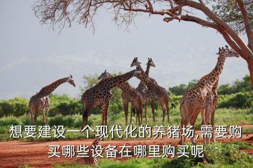 想要建設(shè)一個(gè)現(xiàn)代化的養(yǎng)豬場,需要購買哪些設(shè)備在哪里購買呢