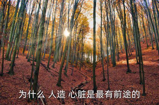 人造心臟