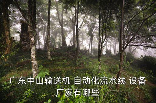廣東中山輸送機 自動化流水線 設(shè)備廠家有哪些
