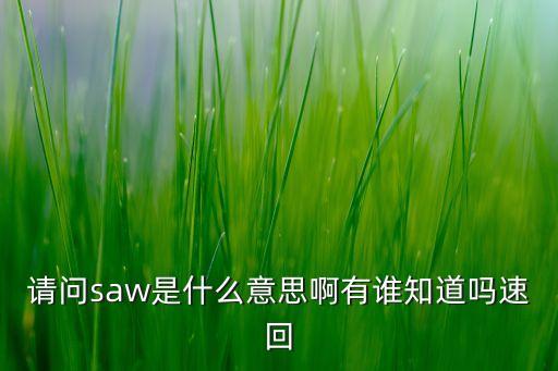 請問saw是什么意思啊有誰知道嗎速回