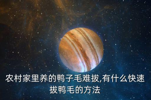 農(nóng)村家里養(yǎng)的鴨子毛難拔,有什么快速拔鴨毛的方法