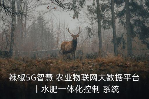 辣椒5G智慧 農(nóng)業(yè)物聯(lián)網(wǎng)大數(shù)據(jù)平臺丨水肥一體化控制 系統(tǒng)