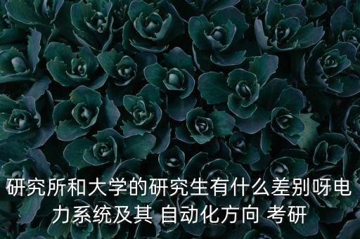 研究所和大學(xué)的研究生有什么差別呀電力系統(tǒng)及其 自動(dòng)化方向 考研
