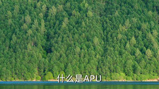 apu，APU是什么意思