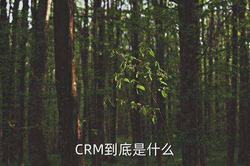 什么是crm數(shù)據(jù)挖掘,數(shù)據(jù)挖掘在CRM系統(tǒng)中的具體應(yīng)用包括