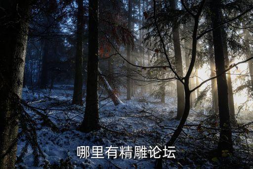 哪里有精雕論壇