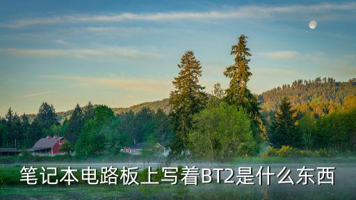 筆記本電路板上寫著BT2是什么東西