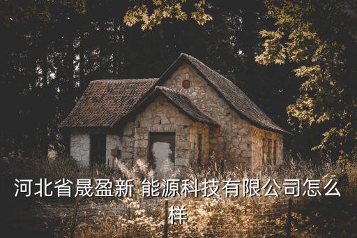 河北省晟盈新 能源科技有限公司怎么樣