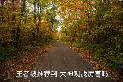 王者榮耀大神的數(shù)據(jù)