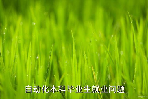  自動(dòng)化本科畢業(yè)生就業(yè)問題