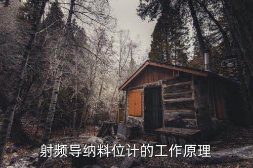 射頻導(dǎo)納料位計的工作原理