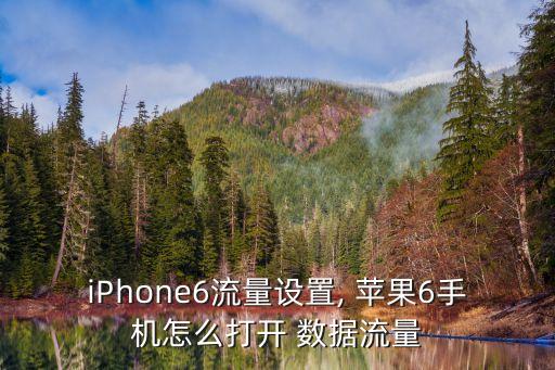 蘋果6數(shù)據(jù)開關(guān)在哪,蘋果手機(jī)沒有漫游數(shù)據(jù)開關(guān)怎么辦