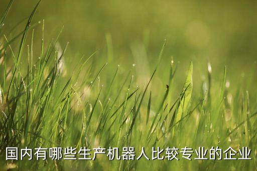 自動化核心算法有哪些公司
