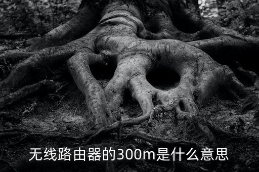 300m，無(wú)線路由器的300m是什么意思