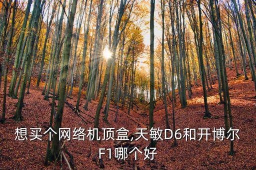 想買個(gè)網(wǎng)絡(luò)機(jī)頂盒,天敏D6和開博爾F1哪個(gè)好