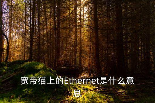 寬帶貓上的Ethernet是什么意思