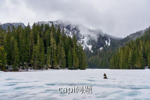 capi問題