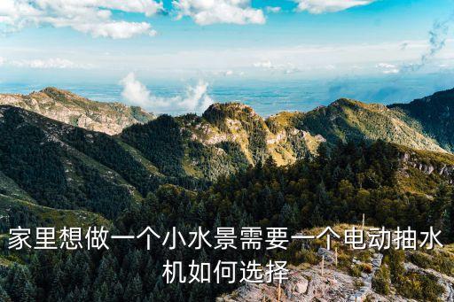 家里想做一個小水景需要一個電動抽水機如何選擇