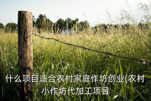 什么項(xiàng)目適合農(nóng)村家庭作坊創(chuàng)業(yè)(農(nóng)村小作坊代加工項(xiàng)目