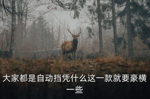 大家都是自動擋憑什么這一款就要豪橫一些
