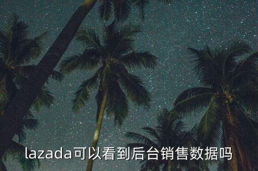 lazada可以看到后臺(tái)銷售數(shù)據(jù)嗎