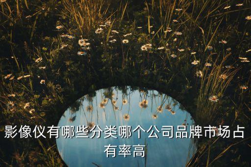 影像儀有哪些分類(lèi)哪個(gè)公司品牌市場(chǎng)占有率高