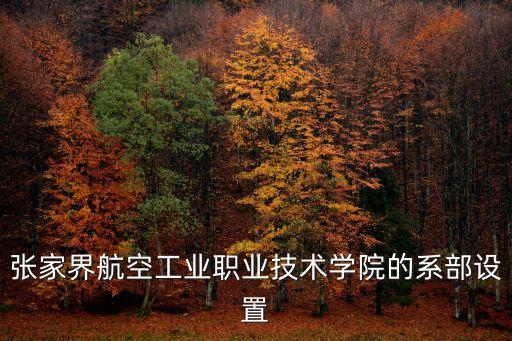 張家界航空工業(yè)職業(yè)技術(shù)學(xué)院的系部設(shè)置