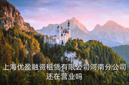 上海優(yōu)盈融資租賃有限公司河南分公司還在營(yíng)業(yè)嗎