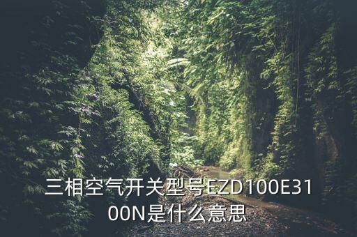 三相空氣開關型號EZD100E3100N是什么意思